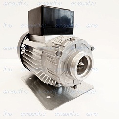 Мотор электрический 245 W, С011503, Rpm s.p.a.